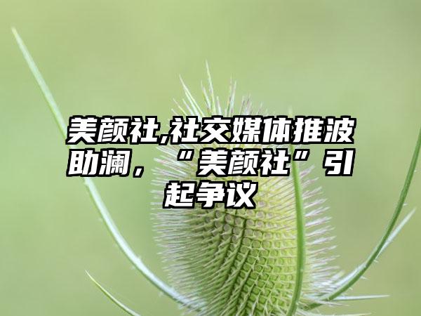 美颜社,社交媒体推波助澜，“美颜社”引起争议