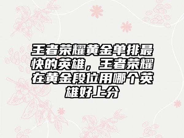 王者荣耀黄金单排最快的英雄，王者荣耀在黄金段位用哪个英雄好上分