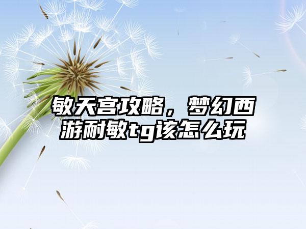 敏天宫攻略，梦幻西游耐敏tg该怎么玩
