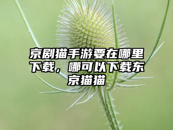 京剧猫手游要在哪里下载，哪可以下载东京猫猫