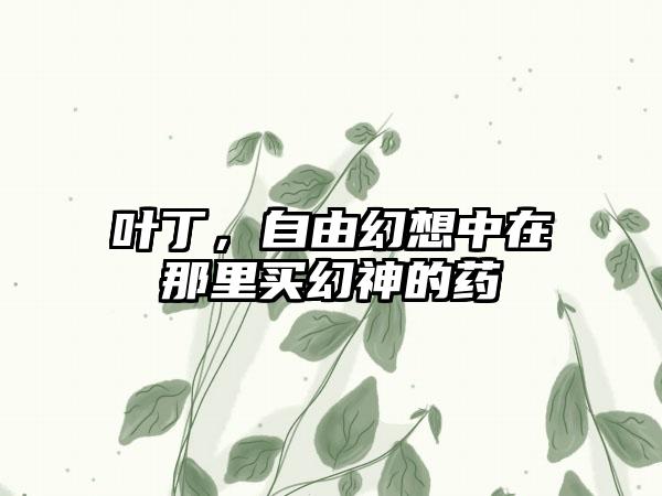 叶丁，自由幻想中在那里买幻神的药