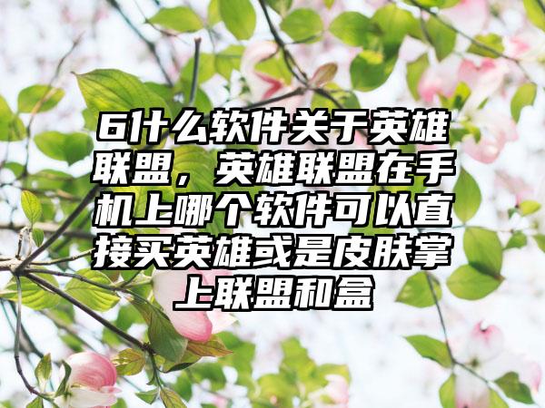 6什么软件关于英雄联盟，英雄联盟在手机上哪个软件可以直接买英雄或是皮肤掌上联盟和盒