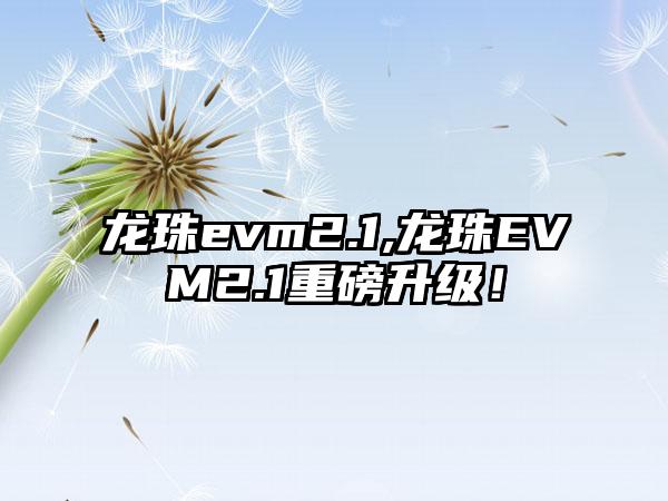 龙珠evm2.1,龙珠EVM2.1重磅升级！