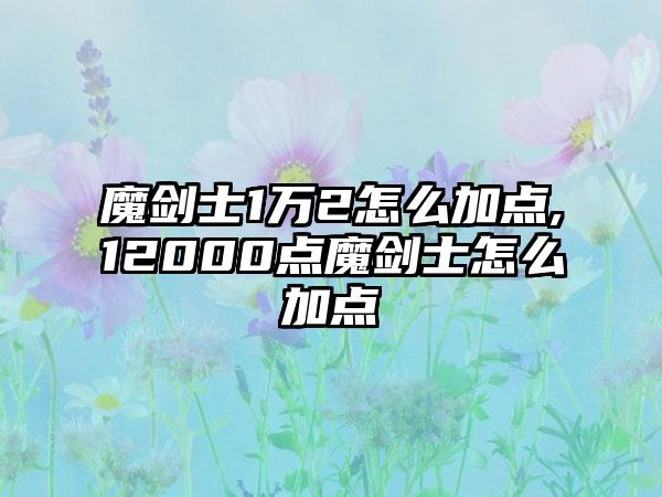 魔剑士1万2怎么加点,12000点魔剑士怎么加点