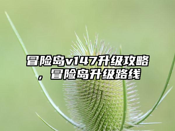 冒险岛v147升级攻略，冒险岛升级路线