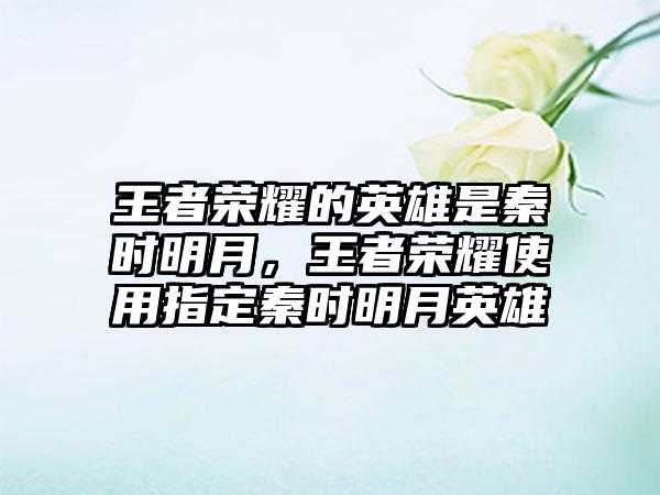 王者荣耀的英雄是秦时明月，王者荣耀使用指定秦时明月英雄