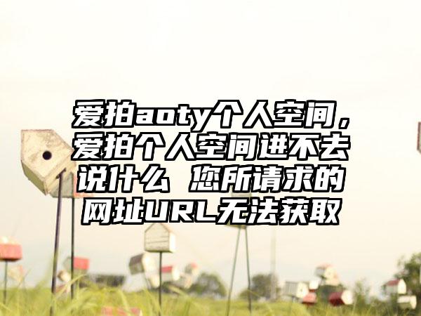 爱拍aoty个人空间，爱拍个人空间进不去说什么 您所请求的网址URL无法获取
