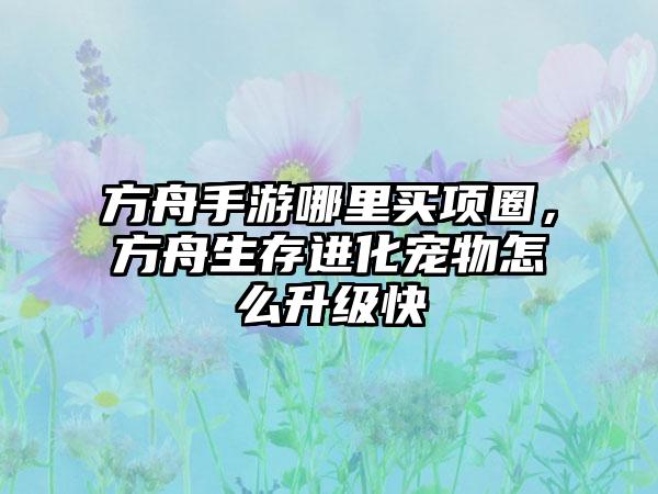 方舟手游哪里买项圈，方舟生存进化宠物怎么升级快