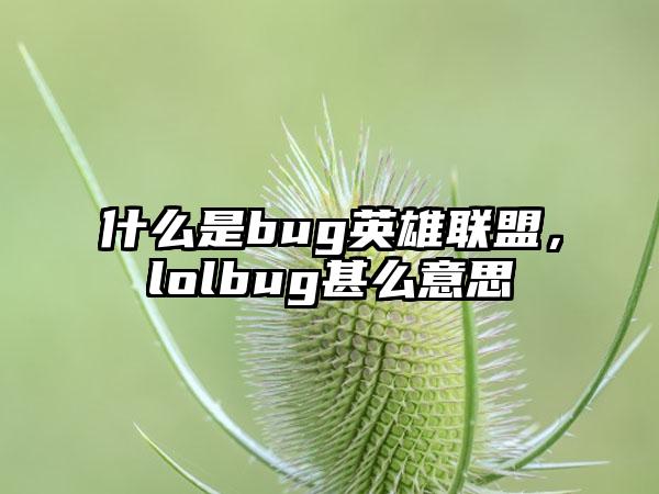 什么是bug英雄联盟，lolbug甚么意思