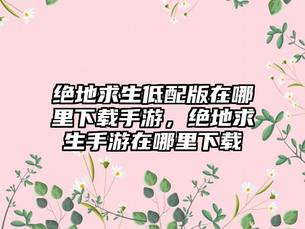 绝地求生低配版在哪里下载手游，绝地求生手游在哪里下载