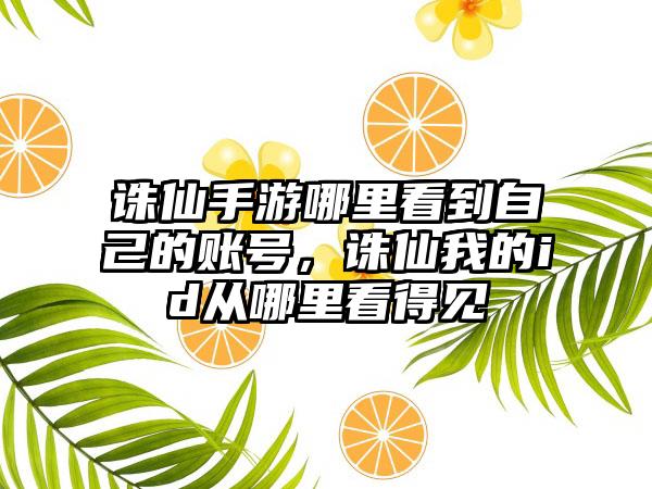 诛仙手游哪里看到自己的账号，诛仙我的id从哪里看得见