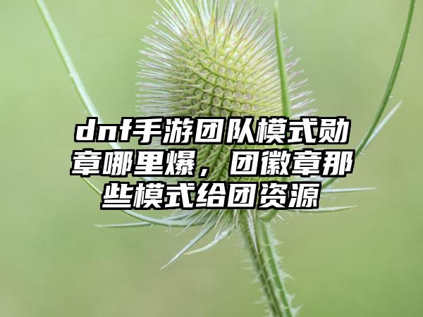dnf手游团队模式勋章哪里爆，团徽章那些模式给团资源