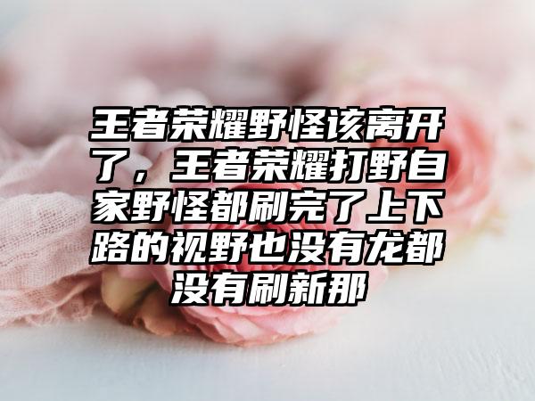 王者荣耀野怪该离开了，王者荣耀打野自家野怪都刷完了上下路的视野也没有龙都没有刷新那