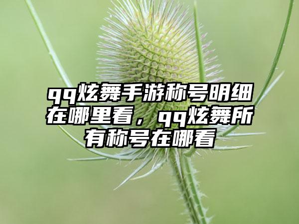 qq炫舞手游称号明细在哪里看，qq炫舞所有称号在哪看