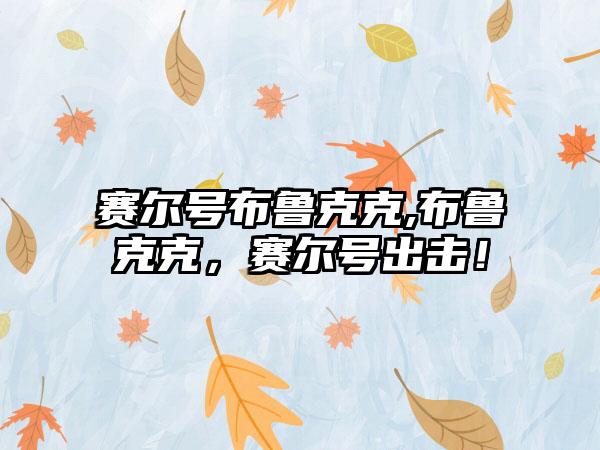 赛尔号布鲁克克,布鲁克克，赛尔号出击！
