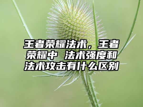 王者荣耀法术，王者荣耀中 法术强度和法术攻击有什么区别