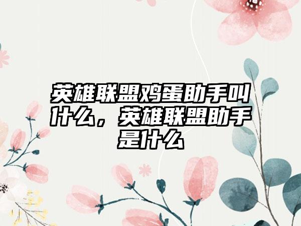 英雄联盟鸡蛋助手叫什么，英雄联盟助手是什么