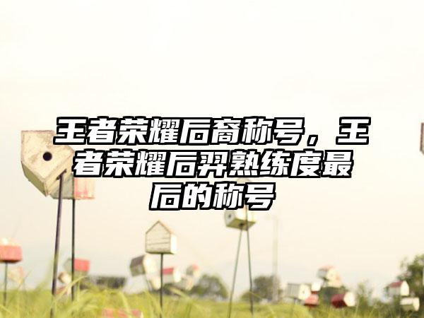 王者荣耀后裔称号，王者荣耀后羿熟练度最后的称号