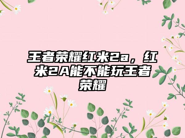 王者荣耀红米2a，红米2A能不能玩王者荣耀