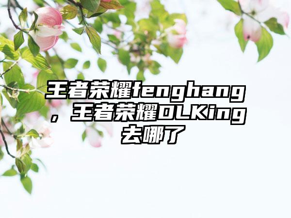 王者荣耀fenghang，王者荣耀DLKing 去哪了