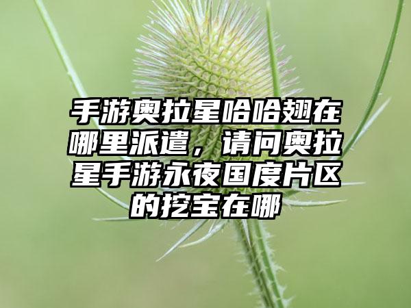 手游奥拉星哈哈翅在哪里派遣，请问奥拉星手游永夜国度片区的挖宝在哪