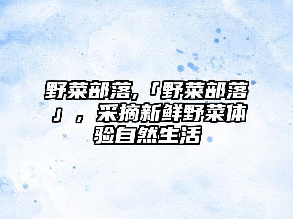 野菜部落,「野菜部落」，采摘新鲜野菜体验自然生活
