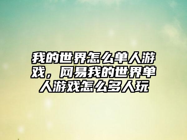 我的世界怎么单人游戏，网易我的世界单人游戏怎么多人玩