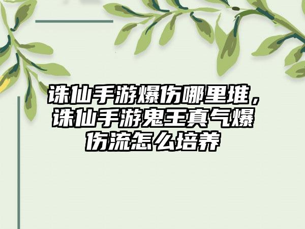 诛仙手游爆伤哪里堆，诛仙手游鬼王真气爆伤流怎么培养