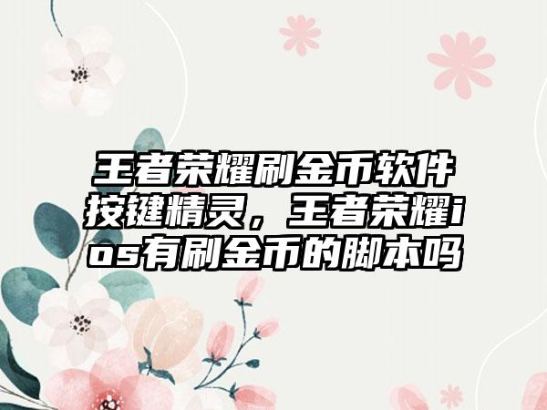 王者荣耀刷金币软件按键精灵，王者荣耀ios有刷金币的脚本吗