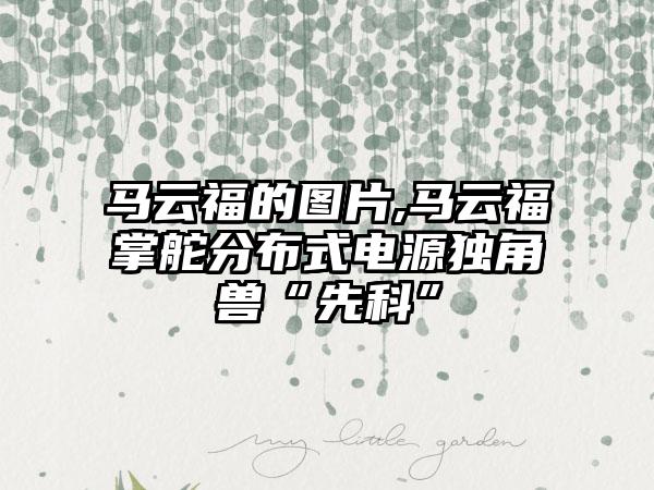 马云福的图片,马云福掌舵分布式电源独角兽“先科”