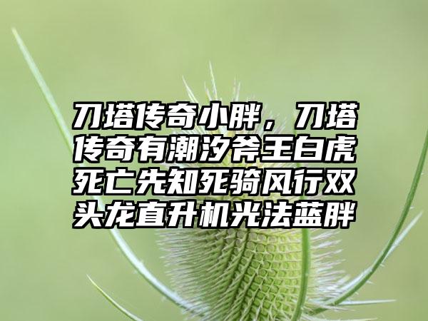 刀塔传奇小胖，刀塔传奇有潮汐斧王白虎死亡先知死骑风行双头龙直升机光法蓝胖