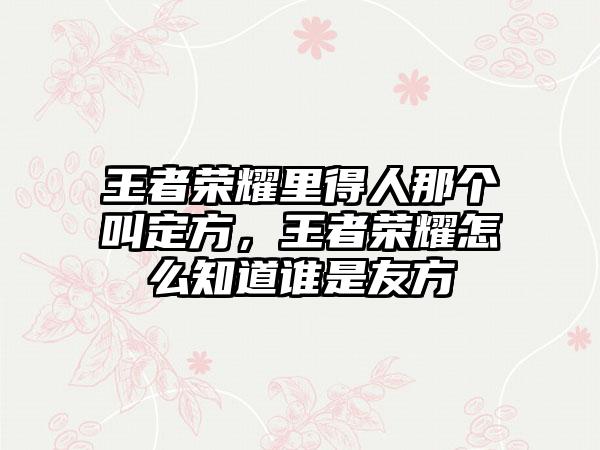 王者荣耀里得人那个叫定方，王者荣耀怎么知道谁是友方