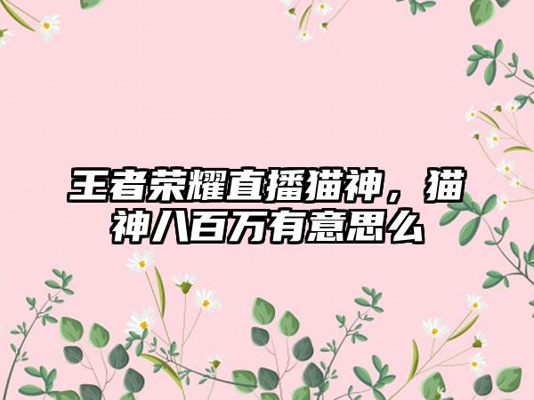 王者荣耀直播猫神，猫神八百万有意思么
