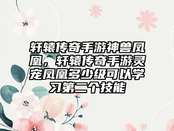 轩辕传奇手游神兽凤凰，轩辕传奇手游灵宠凤凰多少级可以学习第二个技能