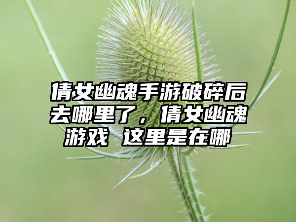 倩女幽魂手游破碎后去哪里了，倩女幽魂游戏 这里是在哪
