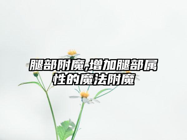 腿部附魔,增加腿部属性的魔法附魔