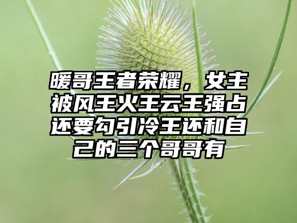 暖哥王者荣耀,女主被风王火王云王强占还要勾引冷王还和自己的三个哥哥有