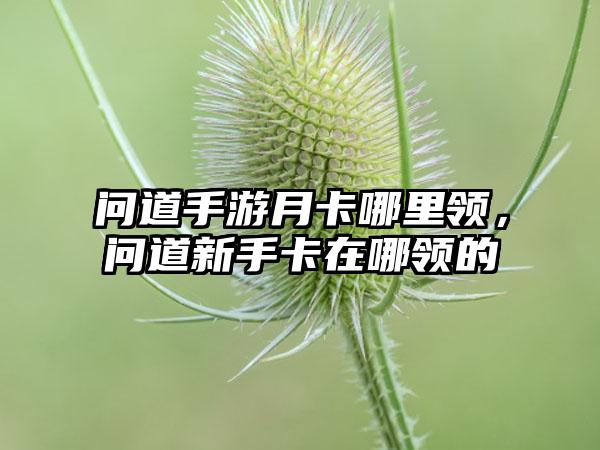 问道手游月卡哪里领，问道新手卡在哪领的