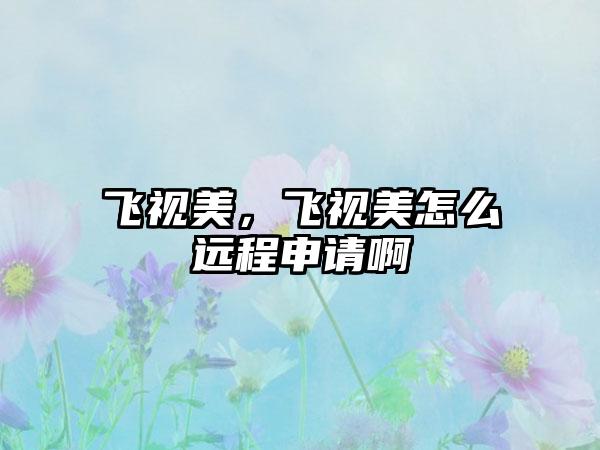 飞视美，飞视美怎么远程申请啊