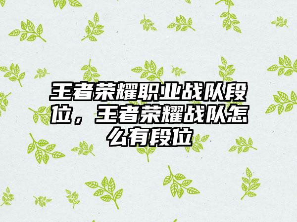 王者荣耀职业战队段位，王者荣耀战队怎么有段位