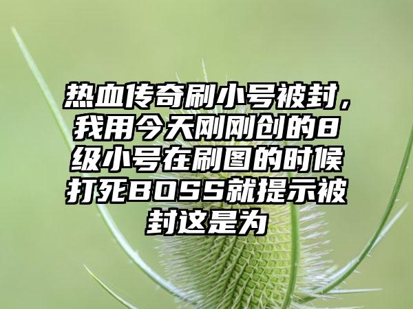 热血传奇刷小号被封，我用今天刚刚创的8级小号在刷图的时候打死BOSS就提示被封这是为