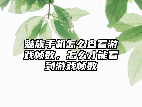 魅族手机怎么查看游戏帧数，怎么才能看到游戏帧数