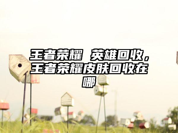 王者荣耀 英雄回收，王者荣耀皮肤回收在哪