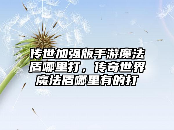 传世加强版手游魔法盾哪里打，传奇世界魔法盾哪里有的打