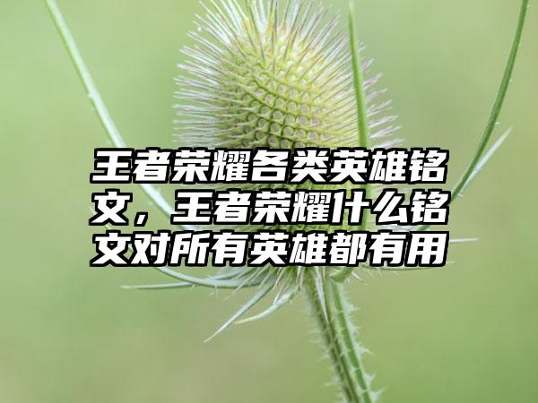 王者荣耀各类英雄铭文，王者荣耀什么铭文对所有英雄都有用