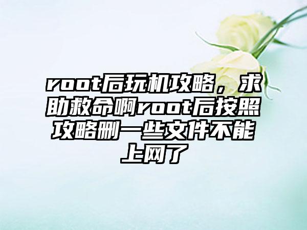 root后玩机攻略，求助救命啊root后按照攻略删一些文件不能上网了