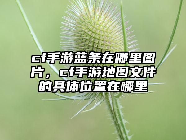 cf手游蓝条在哪里图片，cf手游地图文件的具体位置在哪里