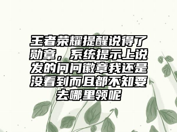 王者荣耀提醒说得了勋章，系统提示上说发的问问徽章我还是没看到而且都不知要去哪里领呢