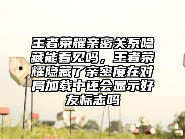 王者荣耀亲密关系隐藏能看见吗，王者荣耀隐藏了亲密度在对局加载中还会显示好友标志吗