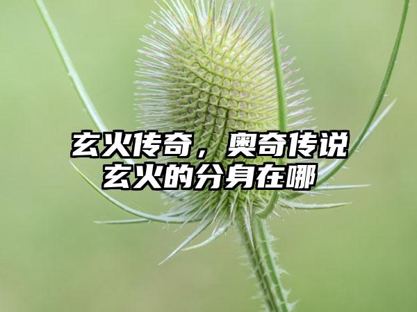 玄火传奇，奥奇传说玄火的分身在哪